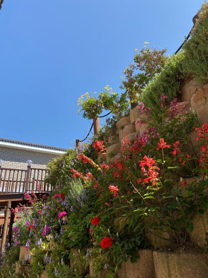 Wilderness Oceanview Exterior foto
